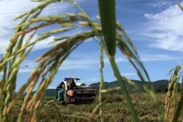 TGPP sebut Maluku salah satu provinsi penerima alsintan terbesar