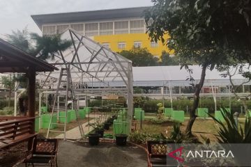 Dinas KPKP DKI rampungkan pembuatan kebun anggur di Kembangan