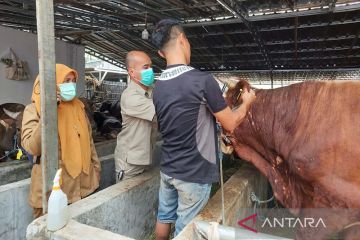 Sudin KPKP Jakbar periksa hewan kurban di delapan kecamatan