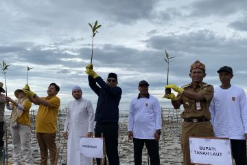 Pemprov Kalsel tanam 7.000 mangrove peringati Hari Lingkungan Hidup