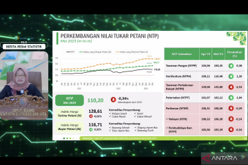 BPS: Nilai Tukar Petani Mei 2023 turun 0,34 persen