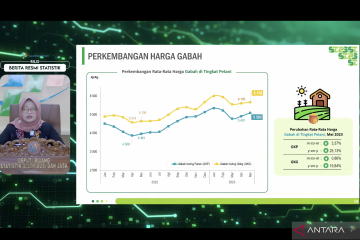 BPS: Harga gabah kering panen naik 3,37 persen pada Mei 2023