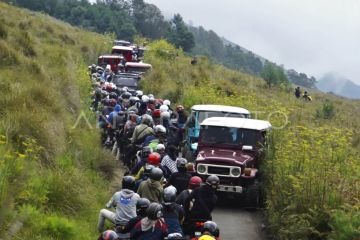 Balai Besar TNBTS kaji penetapan kuota 100 persen wisatawan Bromo