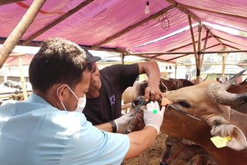 Sudin KPKP lakukan pemeriksaan hewan kurban di Cakung dan Duren Sawit