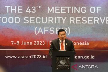 RI tegaskan komitmen sinergi ketahanan pangan di kawasan ASEAN