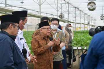 Wapres minta maskapai tepati jadwal keberangkatan haji