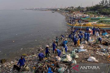 Sejarah Hari Laut Sedunia, momentum mengenang kehidupan di laut