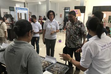 RSKD Maluku berupaya tingkatkan produktivitas pasien ODGJ
