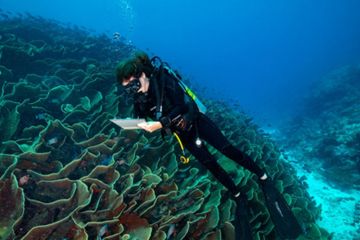 Mary Kay Rayakan Ocean’s Week Dengan Kembali Memperkuat Kemitraan Bersama The Nature Conservancy