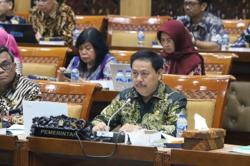 Komisi X DPR setujui pagu indikatif Perpusnas perkuat budaya literasi