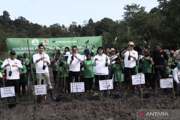 KLHK bersama BRGM dan Freeport tanam kembali 2.000 ha mangrove Kaltim