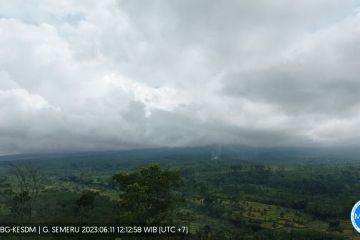 Aktivitas Gunung Semeru masih didominasi gempa letusan dan guguran