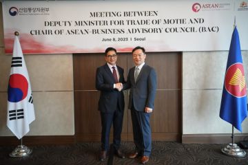 Arsjad Rasjid yakinkan ASEAN tujuan investasi menjanjikan bagi Korsel