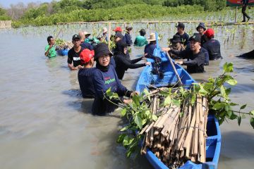 Telkomsel tanam 15.060 pohon di Kawasan Hutan Mangrove Indonesia