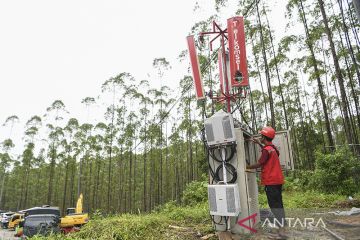 OIKN pastikan komitmen dan aksi nyata prinsip SDGs di IKN Nusantara