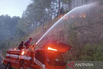 Kebakaran melanda area hutan seluas lima hektare di Aceh Tengah