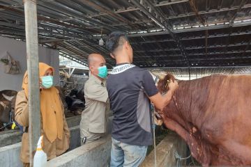 Jakarta Barat periksa 2.790 hewan kurban