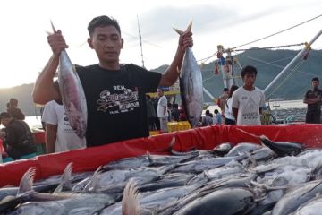 KBI sebut registrasi komoditas ikan meningkat tajam di SRG