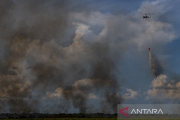 BNPB kerahkan helikopter untuk pengeboman air atasi karhutla di Riau