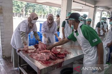 Pemprov DKI terjunkan 700 petugas pemeriksaan hewan kurban 2023