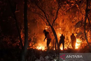 Kebakaran hutan jati di Situbondo