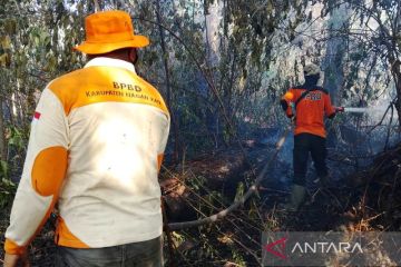 BPBD: Kebakaran lahan di Nagan Raya Aceh mencapai 13 hektare