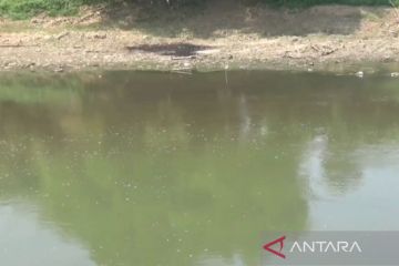 Akibat limbah di Bengawan Solo, PDAM hentikan pengolahan air