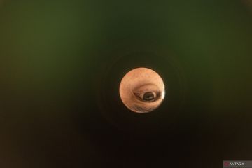 Pantau hilal penentuan Idul Adha 1444 H