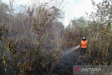 KLHK catat luas kebakaran hutan dan lahan capai 28 ribu hektare