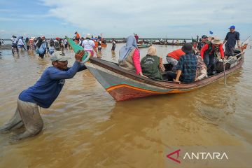 Berburu kerang sumbun saat Festival Kampung Laut