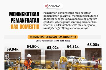 Meningkatkan pemanfaatan gas domestik