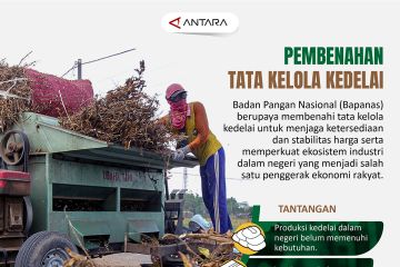 Pembenahan tata kelola kedelai