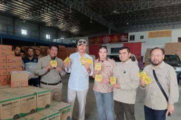 Dubes RI sambut peluang besar bisnis produk halal Indonesia di Mesir