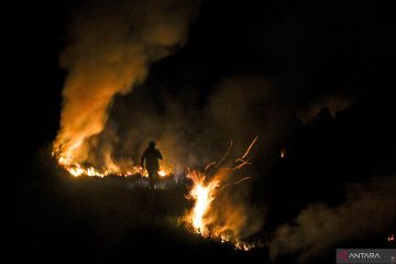 Kebakaran lahan gambut di Kalimantan Selatan