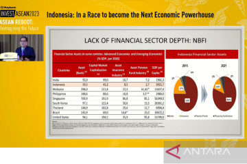 Kemenko Ekonomi: Sektor keuangan RI harus capai 300 persen dari PDB