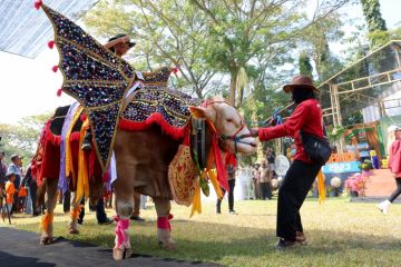 Bupati Banyuwangi: Kontes hewan ternak jadi ajang promosi peternakan