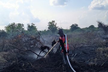 BPBD padamkan kebakaran di 23,47 hektare lahan gambut