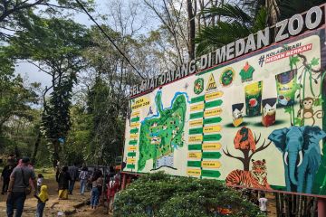 KLHK turun tangan, bantu perbaiki pengelolaan satwa di Medan Zoo