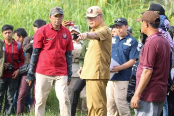 Pelabuhan Perikanan Nusantara di Bengkulu mulai dibangun