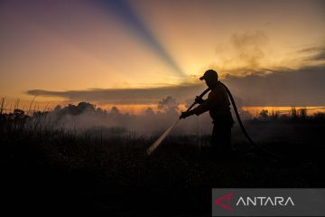 Karhutla di dekat Bandara Syamsudin Noor Kalsel