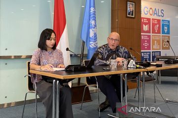 Pelapor Khusus PBB desak Indonesia ambil tindakan atasi krisis Myanmar
