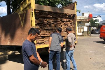 Polisi amankan truk pengangkut kayu ilegal di Jambi