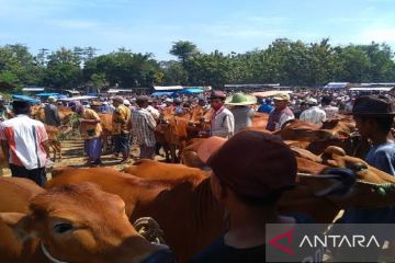 Pemkab Bangkalan terbitkan SKKHK cegah penyebaran PMK dan LSD