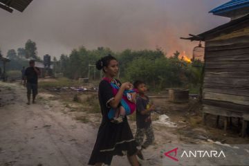 Kebakaran lahan mendekati permukiman penduduk di Kalsel