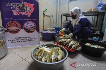 Produksi bandeng presto rumahan