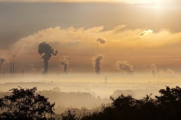 Polusi udara berisiko mengganggu proses perkembangan otak pada anak