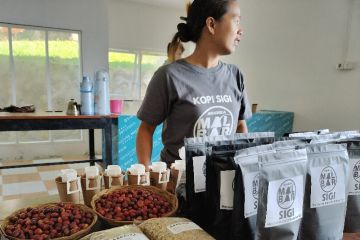 Java Kirana komitmen bantu tingkatkan standar kopi Sigi Sulteng