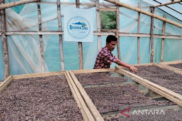 Koperasi kopi di Rejang Lebong tampung produksi perhutanan sosial