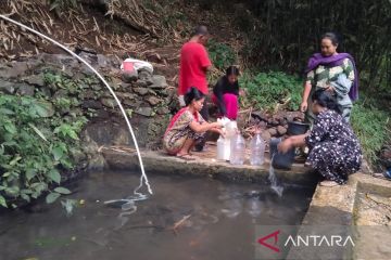 Bupati Cianjur minta petani tanam palawija saat musim kemarau