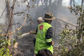 BPBD minta warga antisipasi peningkatan kasus karhutla di Kalteng